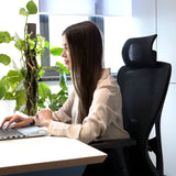 Chaise de bureau ergonomique – Dossier réglable, accoudoirs, 150 kg